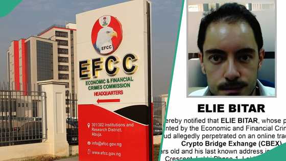 CBEX scam: EFCC declares foreigner wanted over $1 billion investment fraud, shares photo, details