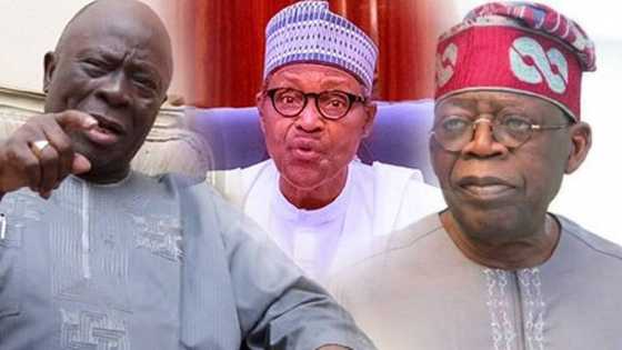 Karin Bayani: An bukaci hukumar EFCC ta binciki dukiyar jagoran APC, Bola Tinubu da Akande