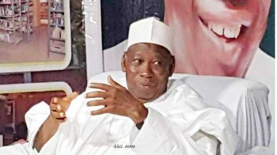 Domin kara masu martaba, Ganduje ya fadi abin da gwamnatin sa za ta yiwa sabbin masarautu 4 da ya kafa