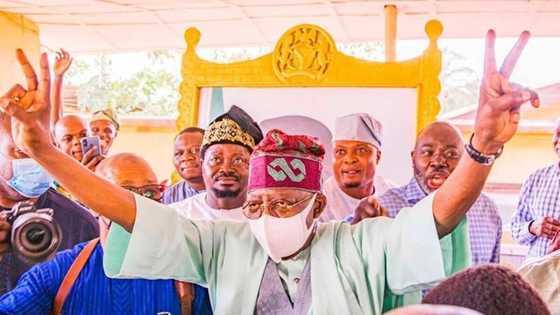 2023 agenda: Tinubu lists 5 things he has to offer Nigerians if elected as president
