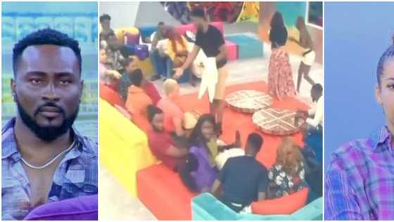 BBNaija: Housemates try to unravel wild card mystery after Big Brother gives interesting clue