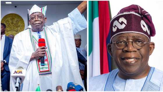 "Something different is coming": source reveals why President Tinubu is yet to appoint spokesperson