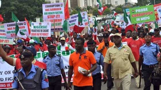 List: How Nigeria's minimum wage compares with 12 other countries