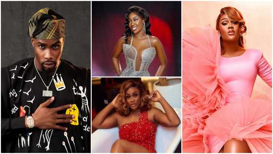 TBaj, CeeC, 3 other BBNaija All Stars female housemates who have shown interest in Neo: "Na dem dey rush am"