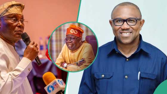 Tinubu's victory: Why you should accept tribunal judgment, APC chieftain tells Peter Obi, Atiku