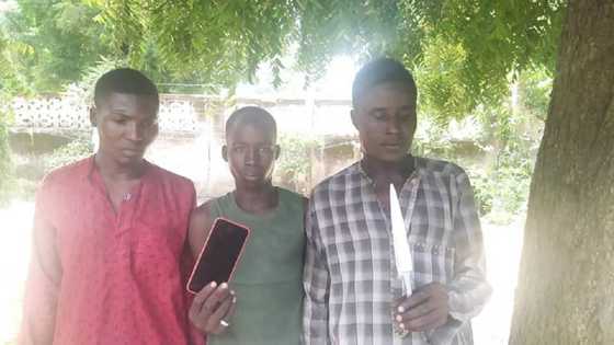 Kano: Hotunan ɓarayin waya uku da aka kama a bayan sun kashe wani sun ƙwace wayansa