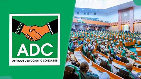 Bauchi: ADC House of Reps candidate resigns from party, gives reason