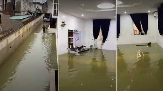 "I just rented nonsense": Man shares video of his flooded apartment, people react