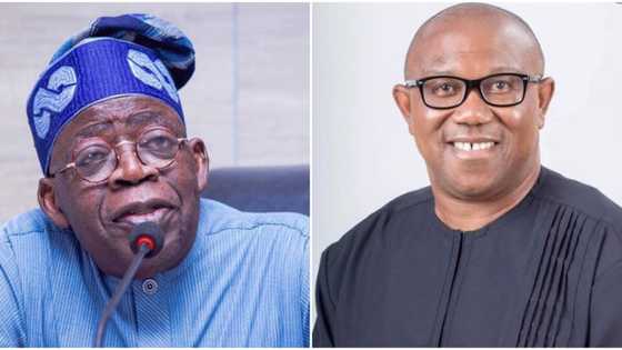 2023: Good news for Peter Obi as Catholic Knights dismiss Muslim-Muslim ticket