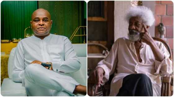 Obidients who descended on Soyinka over comments on Peter Obi, Datti receive heavy knocks from Moghalu