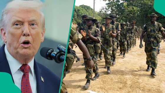 Report uncovers how terrorists were operating in Sokoto before US airstrike in Nigeria
