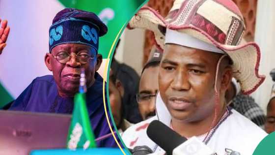 Miyetti Allah reacts as Tinubu creates ministry of livestock development