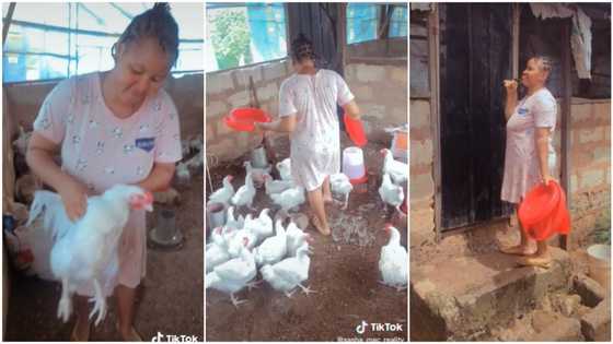 "Person wey get sense": Wife uses money husband gave her for bone straight hair to start poultry business