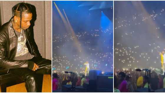 "OBO stole the show": Moment 'oyinbo' crowd went wild as US rapper Travis Scott brings Davido out at concert