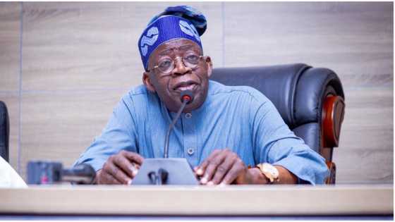 2023: Tinubu's ambition faces big threat as CAC reveals final position on Muslim-Muslim ticket