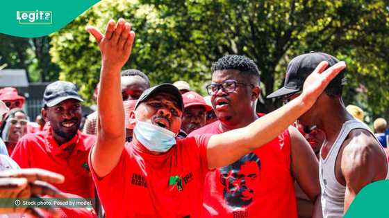 44% of businesses in Nigeria forced to layoff staff in 2024, says report