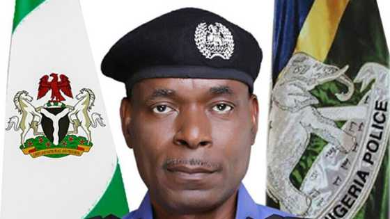 Police kill bandit kingpin in Zamfara state, recovers AK-47, army uniform