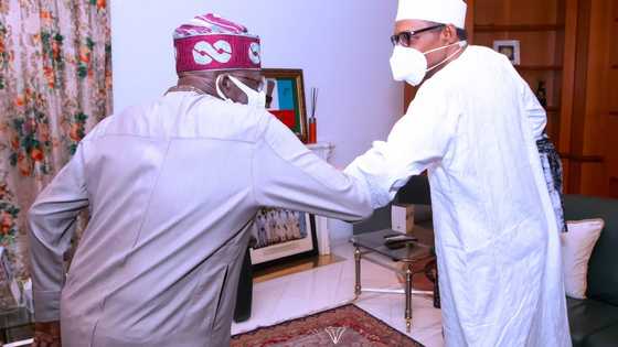 Photos emerge as Bola Tinubu holds crucial meeting with President Buhari in presidential villa