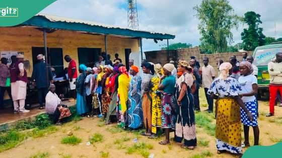 2027: What are the basic qualifications for elections in Nigeria