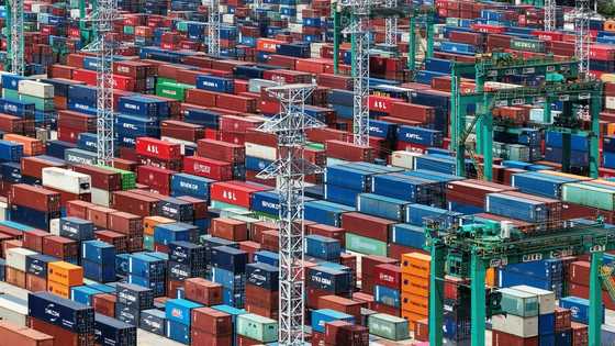 China's economy likely grew 5.1% in Q1 on export surge: AFP poll