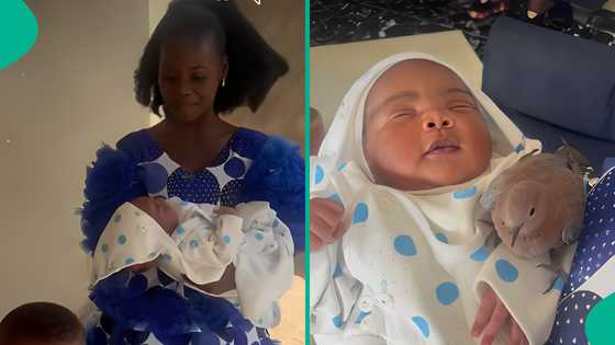 Man cries out as dove flies and stays on his newborn baby in video, wonders what it means