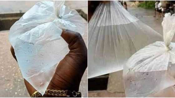 It's typhoid and cholera you're looking for: Massive reactions as popular 'ice' water resurfaces in Abia