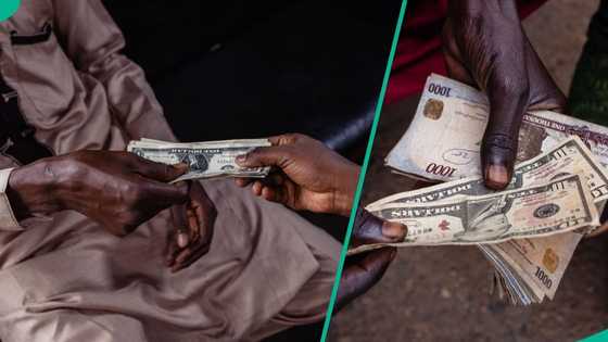 New exchange rate as dollar crashes to six-month low against naira