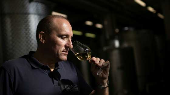 Bumper harvest falls flat for Italy's Asti vineyards