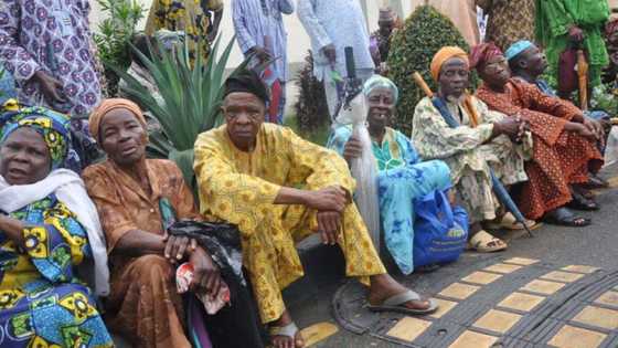 "Pensioners live in fear": Only 1 out of 10 Nigerians has access to pensions in Nigeria