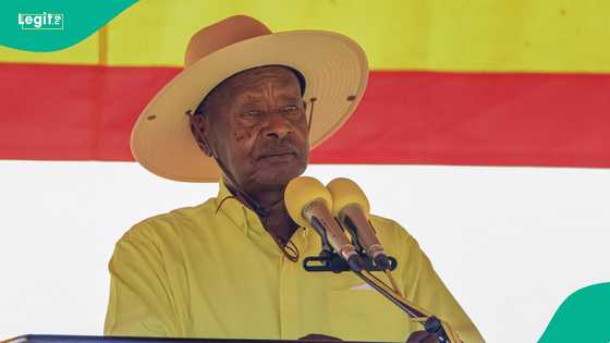 Uganda drops yellow fever certificate requirement for all travellers in 2026