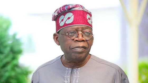 Musulmi da Musulmi: Hadimin Tinubu ya magantu kan rade-radin da ake yi game da abokin takarar jagoran na APC