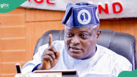 Mudashiru Obasa, 24 other house of assembly speakers sacked in Nigeria, full list emerges