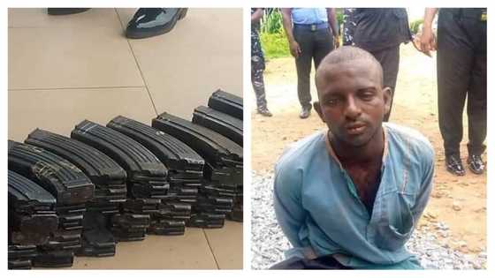 Da dumi-dumi: An kama wani mutum da bindigogi 53 a jihar Nasarawa