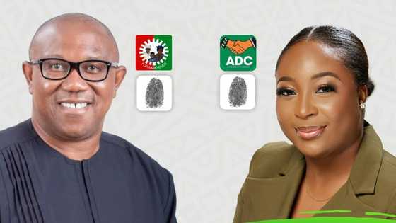 2023 polls: Odd moment where ADC reps candidate used Obi’s photo in campaign poster to canvass for votes