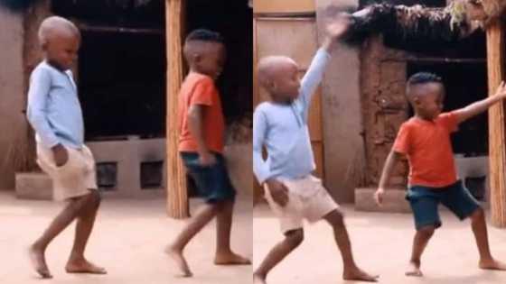 Adorable boys light up social media with amazing dance moves in Jerusalema Challenge, video goes viral