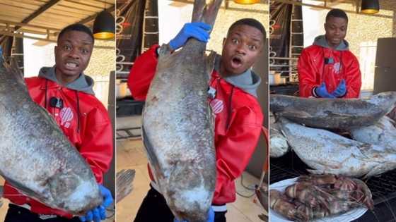"N5.7 million for 1": Ola of Lagos posts video of colossal fish selling for whopping amount