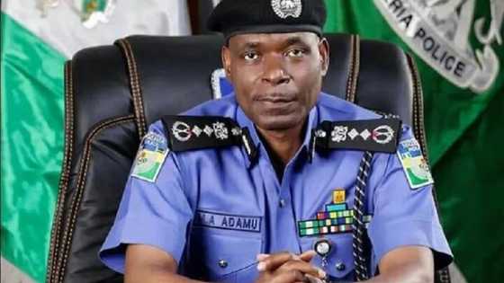 Da duminsa: IGP ya bada umurnin janye yan sandan dake kare Fani Kayode, Sanatoci, malamai da masu kudi
