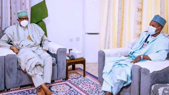 Mun fara magana da 'yan bindiga, an gano inda dalibai suke; Masari ya sanar da Buhari