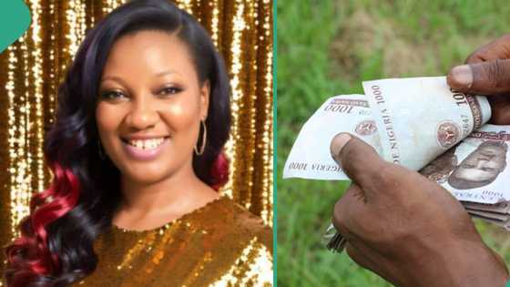 "Let her go home": Nigerian lady advises men to stop paying their girlfriend's rent, generates buzz
