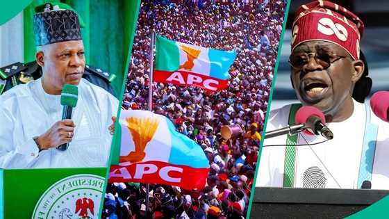 APC rejects claim Tinubu engineered mass defections, mentions PDP insiders involved