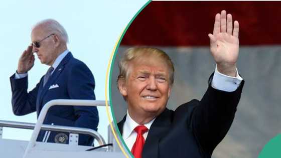 BREAKING: Trump, Biden set for rematch after securing party nominations for US 2024 election