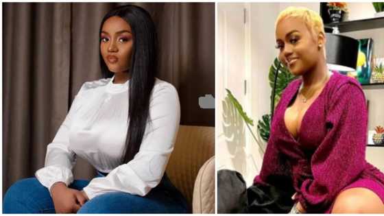 Celebrity style glam: Davido's ex-fiancee Chioma Rowland goes blonde in new photos