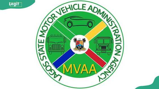 MVAA plate number verification: different ways to verify your vehicle's ownership