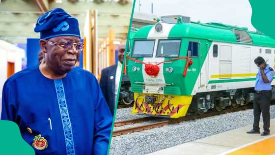 Breaking: Tinubu approves yuletide 'giveaway' for Nigerian travellers, details emerge