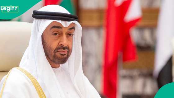 UAE government publishes 7 official portals for foreigners to land jobs