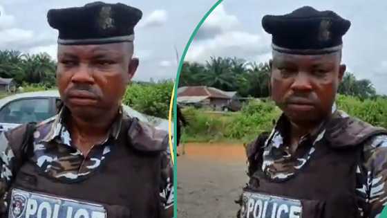 Police officer caught on camera demanding N5k bribe on major Nigerian highway