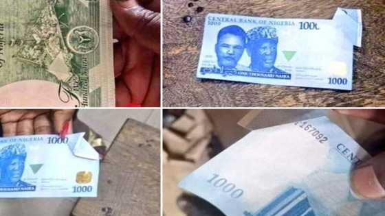 Assha: Ana batun sabbin Naira na kodewa, hotuna sun nuna rashin daidaito a bugun