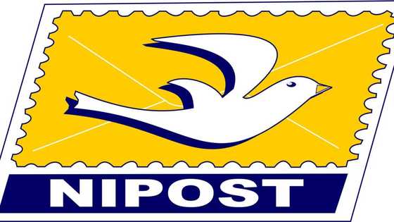 NIPOST overview: Website, price list, Track and Confirm feature