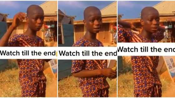 "He is a genius": Young Nigerian boy who is a hawker displays incredible mathematics skills, video goes viral