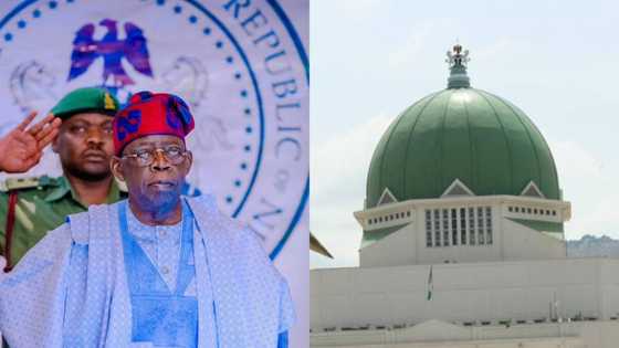 Coup d'état: Northern senators reject Tinubu's onslaught against Niger military junta